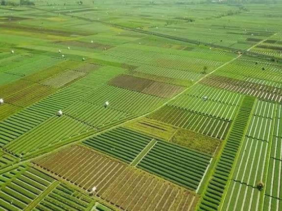 دعاوی اراضی و ملکی 1